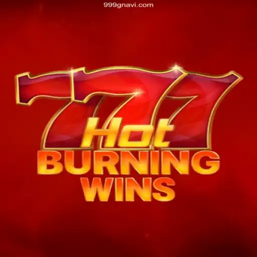 HotBurningWins: An Engaging Gaming Experience